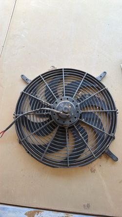 fan $20