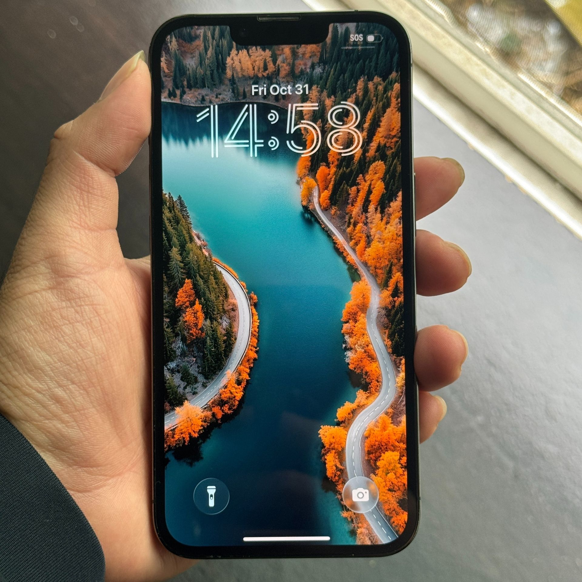 Apple iPhone 13 Pro 128GB Unlocked *Read Description*