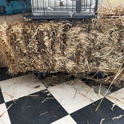 Leftover Straw Bale, Extra Straw, Extra Paja