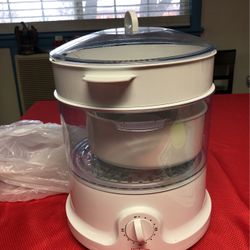 Electric Steamer 