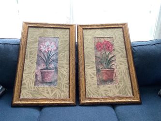2 Amaryllis Paintings