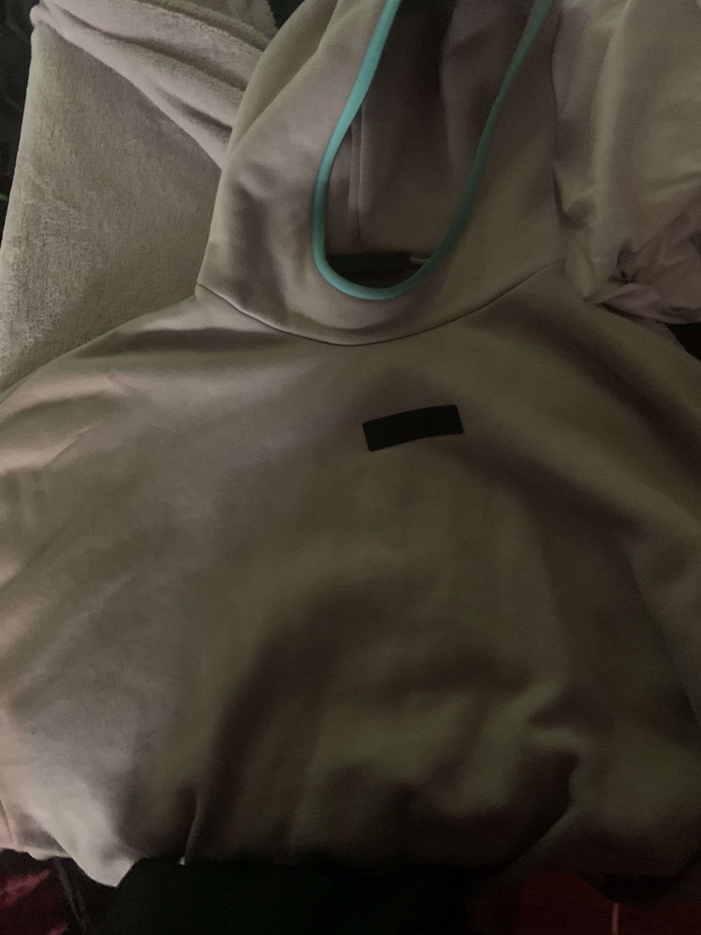 Essentials seal Hoodie