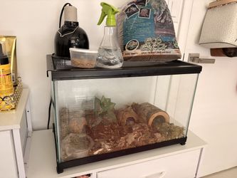 Leopard Gecko Cage With EVERYTHING included