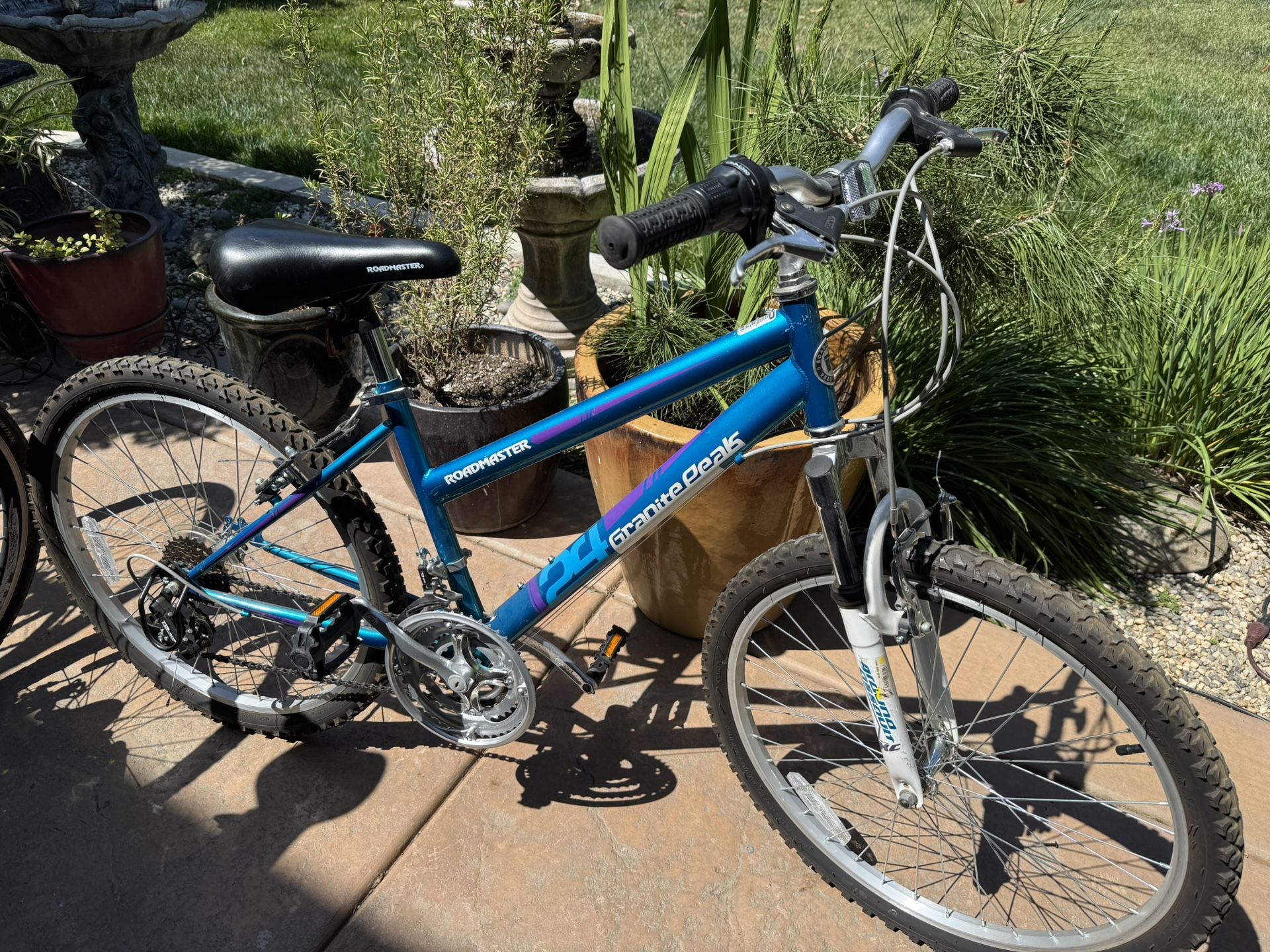 24 Inch Roadmaster Mountain Bike