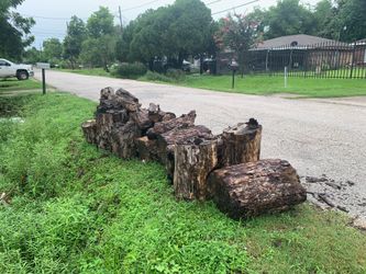 FREE PECAN WOOD
