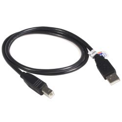 🟡 StarTech USB 2.0 Certified A to B Cable — M/M (~10 ft.)