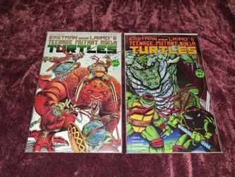 Teenage Mutant Ninja Turtle comic books vintage.. prices are marked or will sell as a bundle for $120. All sales final.