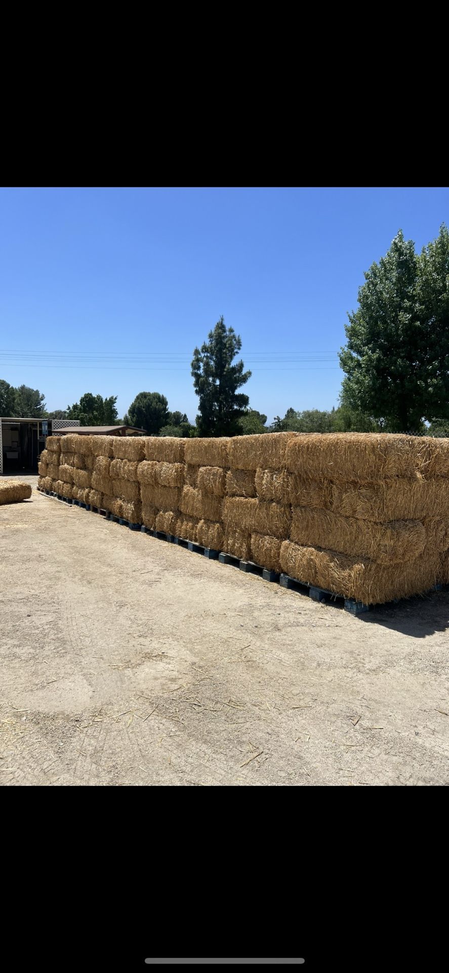 Hay Bales For Sale!