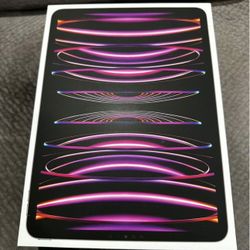 iPad Pro 11 Inch 256GB 