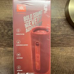 JBL Flip 6