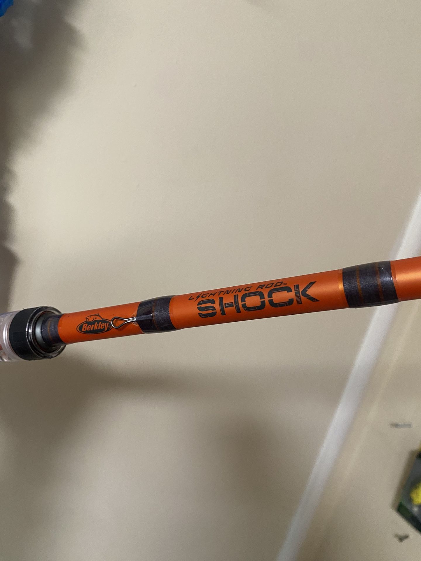 Berkeley Lighting Rod Shock