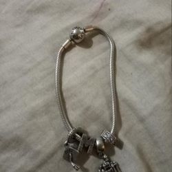 Pandora Charm Bracelet 