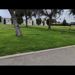 Cemetery Plots Pierce Brothers Valhalla 