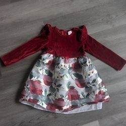 Girls size 4t party dress - gently used