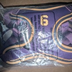 New Purple Leash And Harness Medium