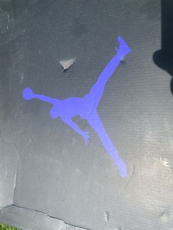 Air Jordan 5 Retro βGrapeβ Size 11