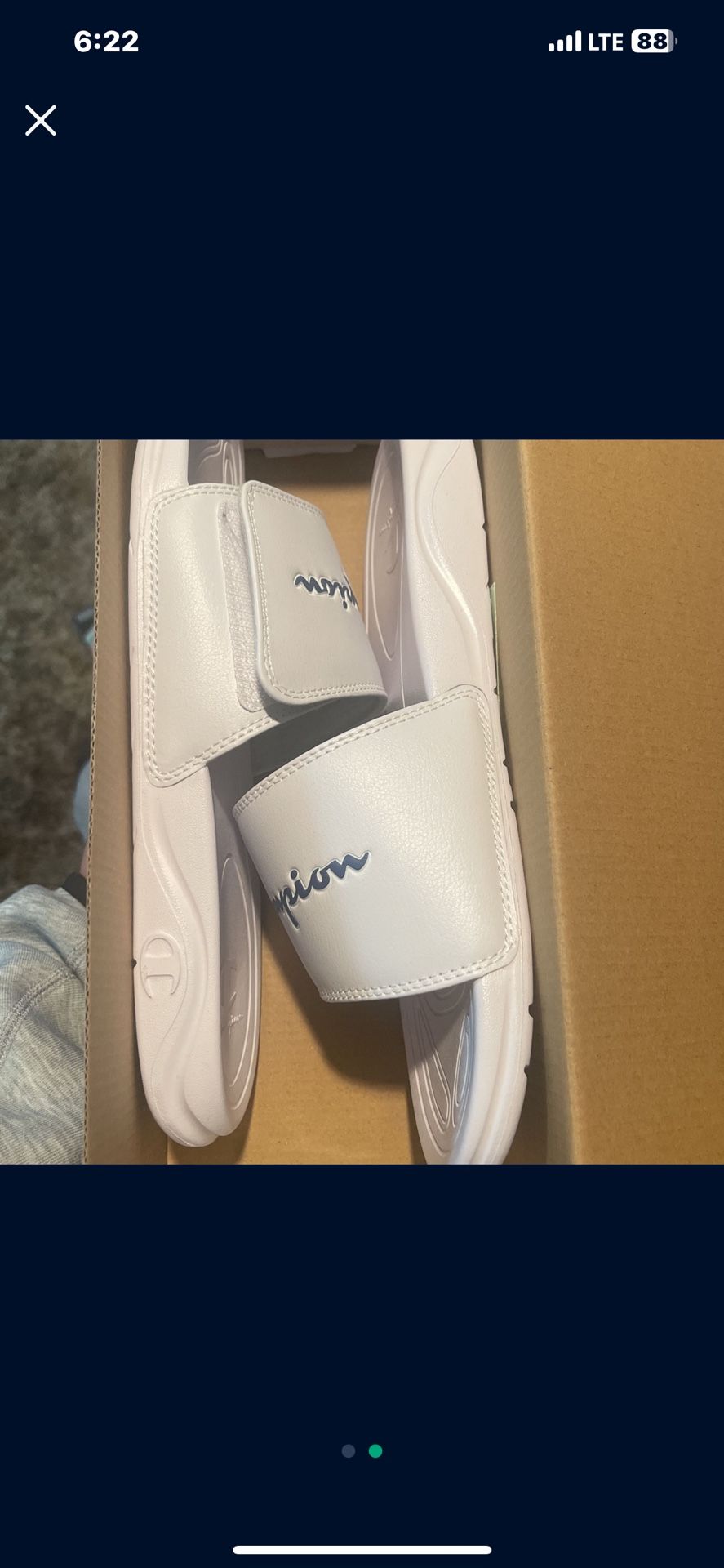 White champion slides 