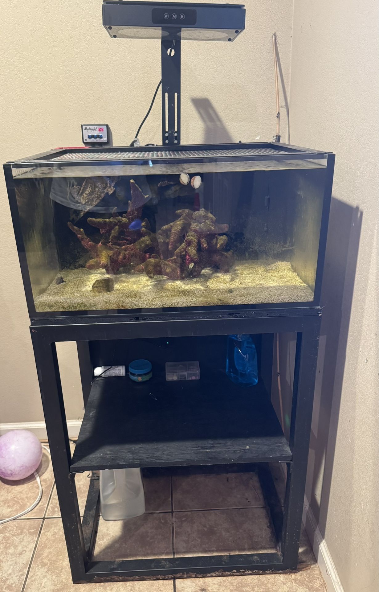 Innervated Marin, 25g Lagoon AIO 