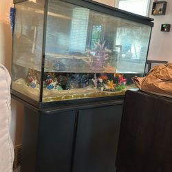 Fish Tank