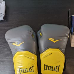everlast small /medium boxing gloves