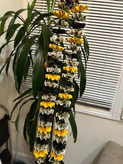 Money leis