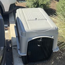 Large Kennel