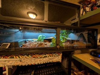 Animal Plastics ® T8 Reptile Enclosure