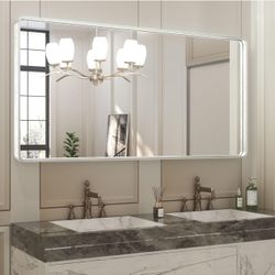 Brushed Nickel Rectangular Mirror - 48"x24" - Brand new - retails for $179