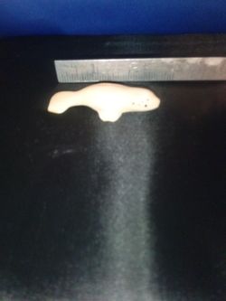 Alaskan Ivory Seal Carving I Think It Said