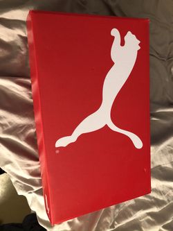 Puma Size 13