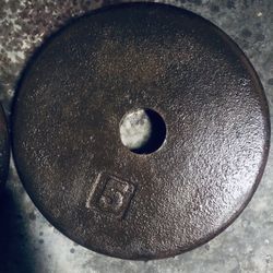 Set Of 5lb Standard Weights