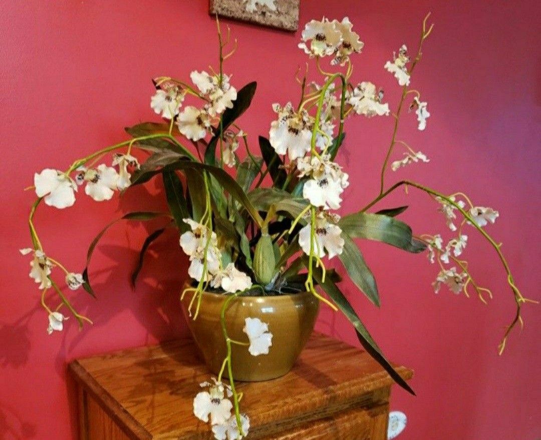 Floral In Ceramic Pot