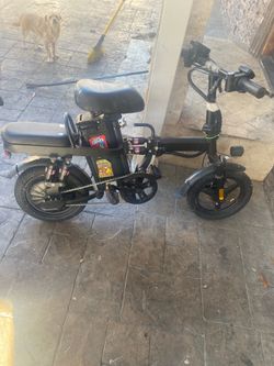 E bike