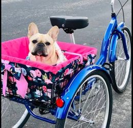 3 wheel Tri cycle