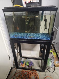 Fish Tanks