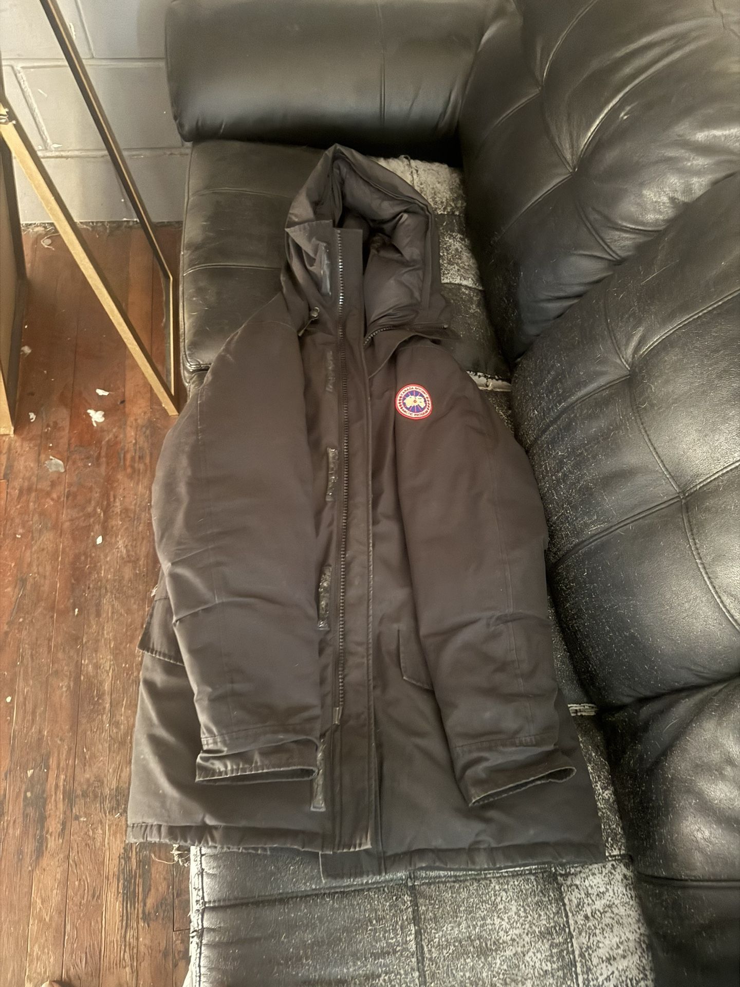 Canada Goose