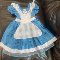 Alice In The Wonderland Dress