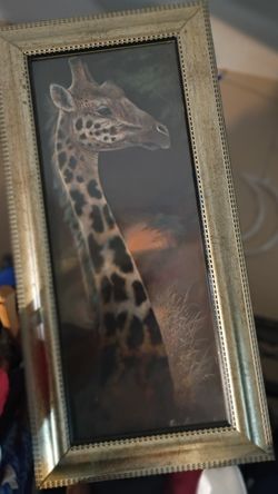 $FRAMES SIZE 8x20