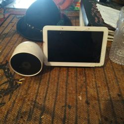 nest camera and Google home monitor