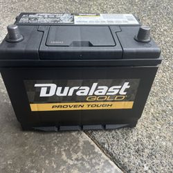 Car Battery Duralast Gold Size 124R