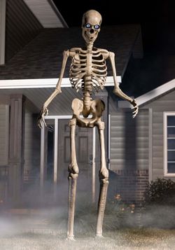 12ft Giant Skeleton