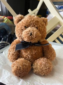 Brown Bear