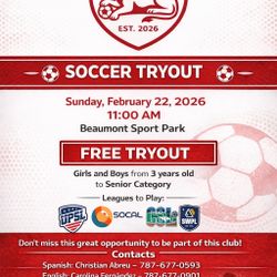 Soccer Free