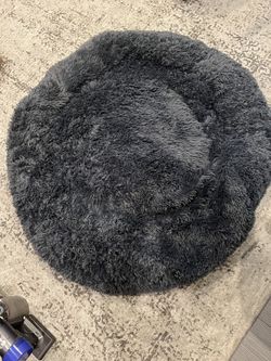Bed For Cat Or Dog