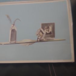 Home  Glass Shelf 