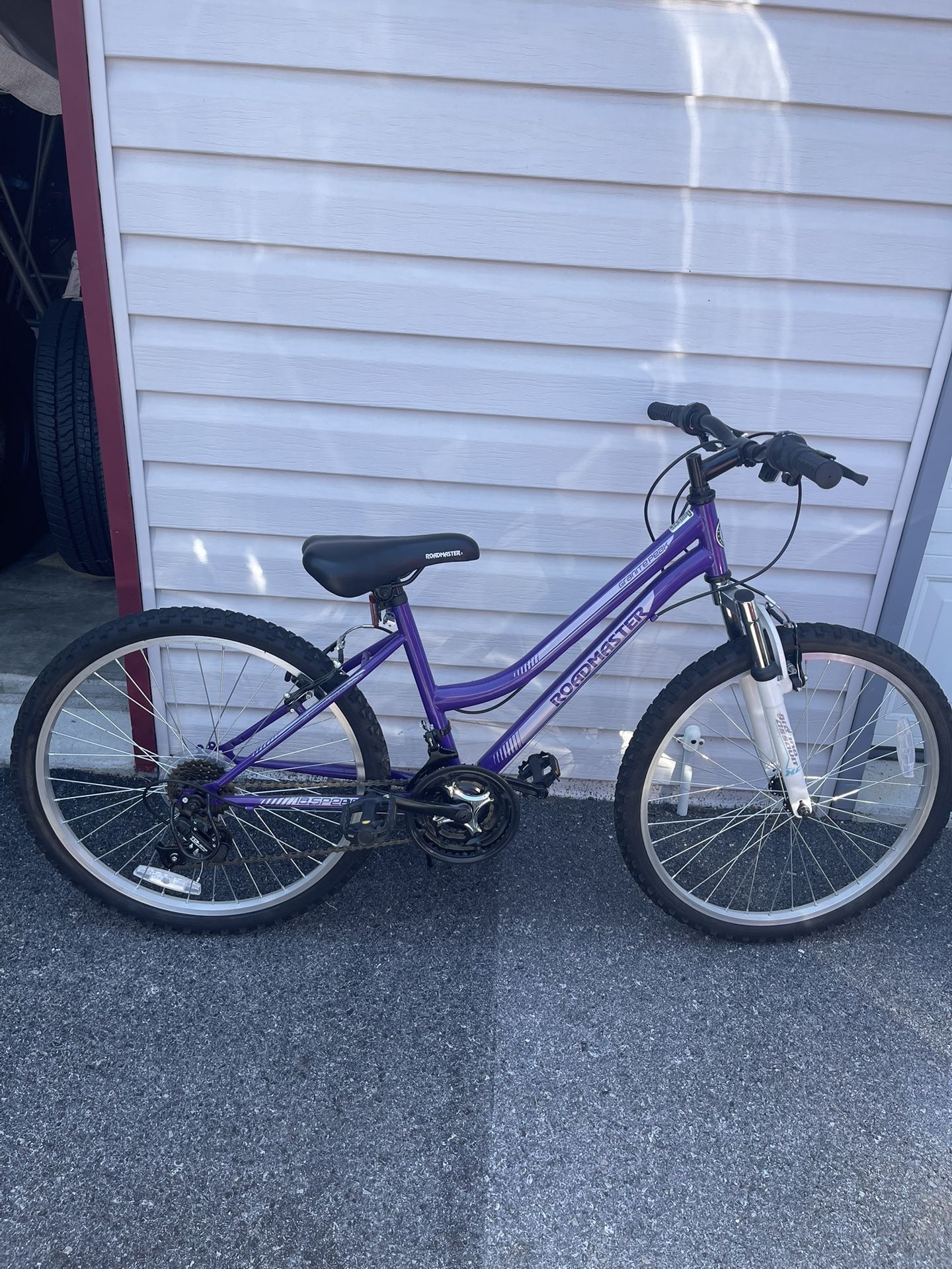 Road Master Bike