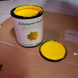 Benjamin Moore Yellow Paint