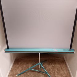 Projector Screen