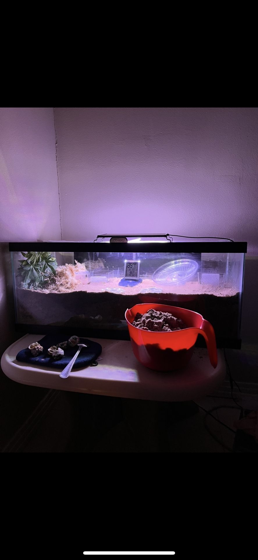 20 gallon with glass lid