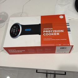 A Sous Vide Device Precision Cooker